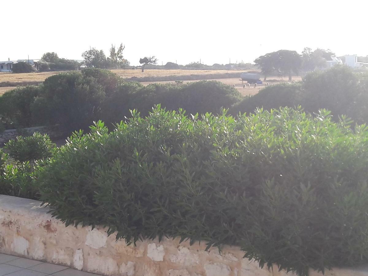 La Maison D'Helene 나오우사 외부 사진